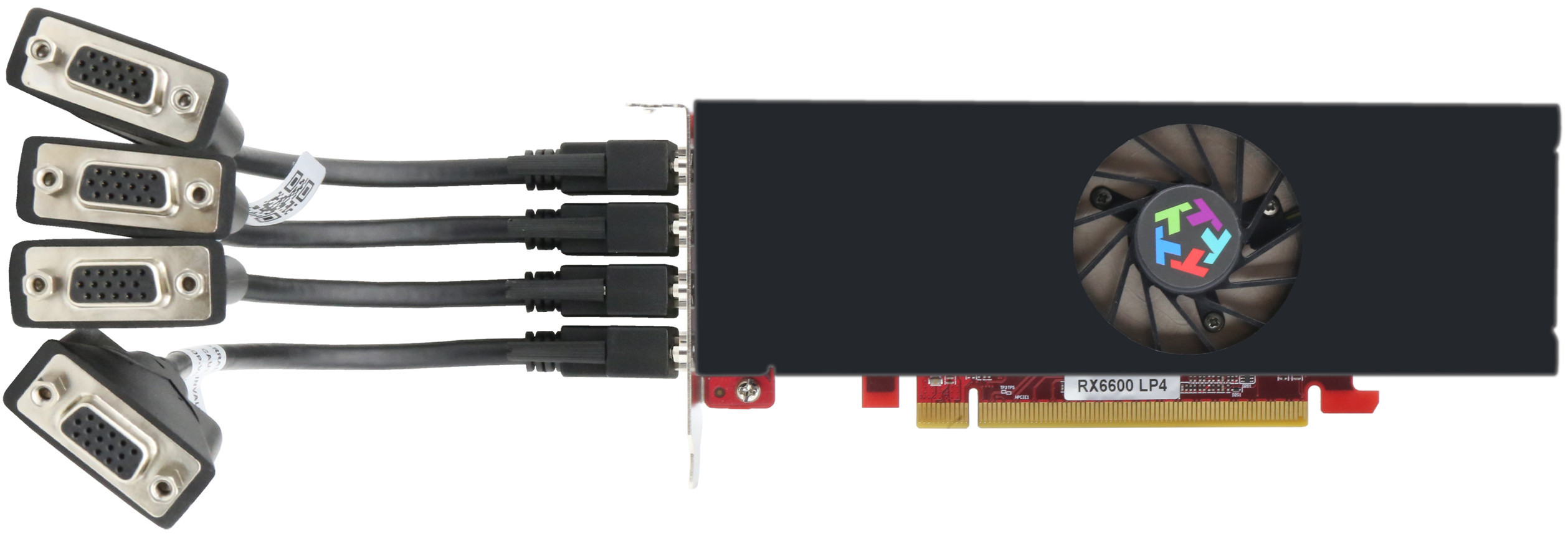 RX6600 lowprofile 4dp TO 4VGA display